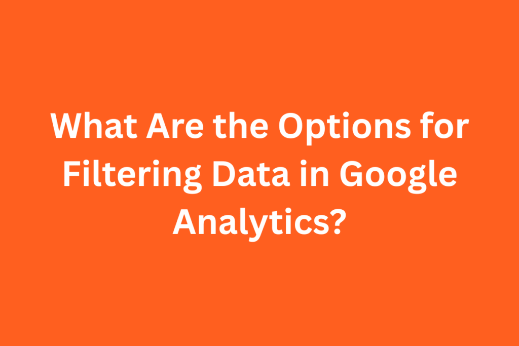 What Are the Options for Filtering Data in Google Analytics?