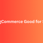 Is BigCommerce Good for SEO? Here’s the Real Answer for 2025